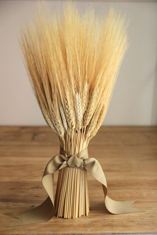 Wheat Decorations, Wheat Centerpieces, Wheat Bundle, Modern Country Living, Fresh Farmhouse, Holidays Thanksgiving, Ikebana, First Communion, Fall Thanksgiving