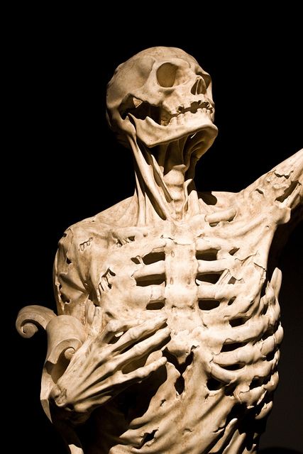 Skeleton Looking Up, Skeleton Reference, Skeleton Sculpture, Skull Reference, Skeleton Anatomy, Bone Tattoo, Statue Art, Human Skeleton, Skeleton Art