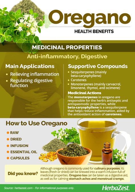 Oregano | HerbaZest Prim Rose Oil Benefits, Oregano Benefits, Juice Images, Oregano Oil Benefits, Oregano Leaves, Oregano Oil, Male Fertility, Feminine Health, Vegetarian Options