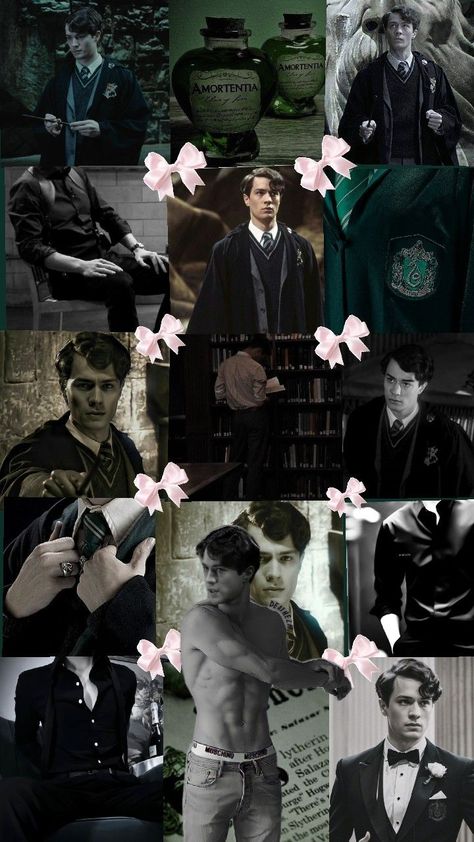 tom riddle coquette Young Tom Riddle, Best Riddle, Images Harry Potter, Hogwarts Aesthetic, Slytherin Aesthetic, Tom Riddle, Harry Potter Characters, Pretty Selfies, Draco Malfoy