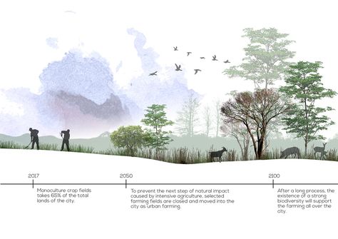 Rewilding Architecture, Landscape Presentation, Renders Architecture, Ecological Landscape, Tshirt Design Diy, Poster Architecture, Collage Landscape, Landscape Details, Speculative Design