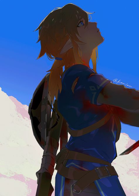 kan on Twitter: "Blue #botw #loz… " Link Botw, Shingeki No Bahamut, Princesa Zelda, Link Art, Hyrule Warriors, Link Zelda, Zelda Art, Legend Of Zelda Breath, Ocarina Of Time