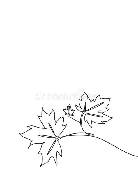 Maple Leaf Vector, Leaves Line Drawing, Maple Leaf Drawing, Leaf Vector Illustration, Leaf Vector, Single Line Drawing, Leaves Illustration, Leaf Illustration, Sports Flyer