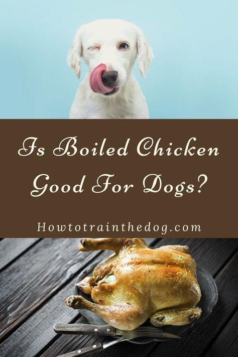 boiled chicken for dogs Boil Frozen Chicken, Boil Whole Chicken, Chicken Dog Food Recipes, Boiled Chicken Recipes, Boiled Chicken Breast, Broiler Chicken, Chicken Green Beans, Make Dog Food, Broiled Chicken