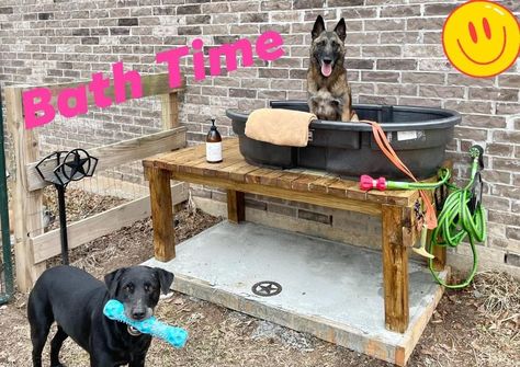 Outdoor Dog Bath Station Diy, Raised Dog Bathing Station, Outdoor Dog Bath Station, Homemade Dog Bath Tub, Diy Dog Bath, Dog Washing Station Outdoor, Groomer Humor, Dog Bathing Station, Dog Tub