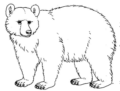 Bear Drawings | ... Worksheet Guide : Pictures Clip art Line Drawing Coloring Pictures Paw Print Clip Art, Polar Bear Coloring Page, Teddy Bear Coloring Pages, Embroidery Animals, Bear Sketch, Urs Polar, Bear Paw Print, Ideas Embroidery, Bear Drawing