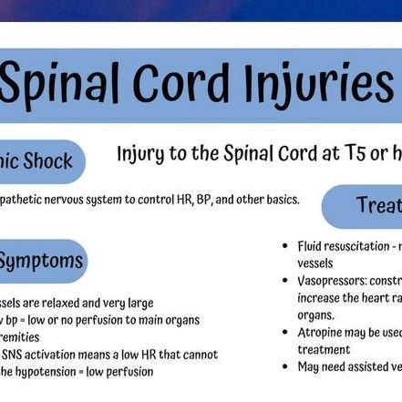 Dr_ KAILASH_GARWAL on Instagram: "Spinal cord injury  #spinal #nursing #medical #aiims  #medicalknowledge #viramin #viralpost #tredingpost ." Spinal Cord Injuries Occupational Therapy, Corticospinal Tract, Spinal Cord Injuries Nursing, Spinal Cord Lesions, Tracts Of Spinal Cord, Nursing School Essential, Spinal Cord, Nursing Education, Medical Knowledge