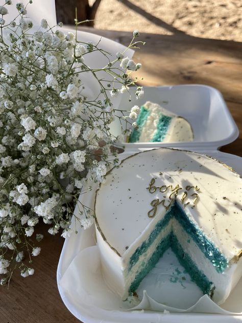 Cake Gender Reveal Simple, Cold Gender Reveal Ideas, Simple Gender Reveal Photoshoot, Aesthetic Gender Reveal Cake, Gender Reveal Cake Aesthetic, Gender Reveal Just For Husband And Wife, Lowkey Gender Reveal, Baby Announcement Cake Ideas, Cake Reveal Gender Ideas