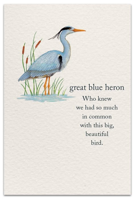 Great Blue Heron Pet Condolences, Support Encouragement, Great Blue Heron, New Babies, Symbols And Meanings, Spiritual Symbols, Herons, Best Friendship, Flower Quotes