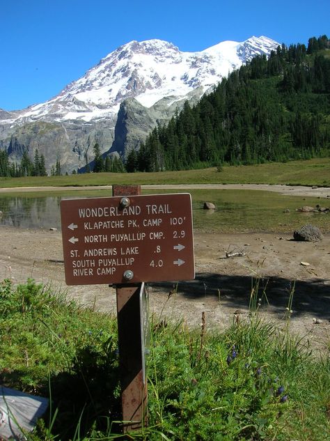 Wonderland Trail: Longmire to North Puyallup River  19.5 miles Wonderland Trail, River Camp, Mt Rainier, Outdoor Fun, Mount Rainier, Pacific Northwest, North West, Backpacking, Over The Years