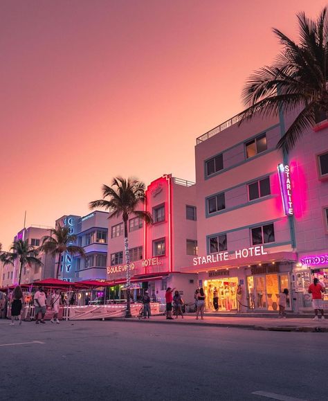 Nothing like a Miami Sunset Where is your favorite place to enjoy dinner drinks and a sunset? @geoffrey.parry #miamisunset #southbeachmiami #miamivibes #miamibeach #sunset Miami Background, City Aesthetic Miami, Miami Sunset Wallpaper, Miami Neon, Miami Beach Night Aesthetic, Miami Wallpaper, Miami Club, Miami Sunset, Brickell Miami