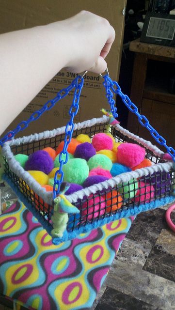 sugar glider toys - Google Search- ball pit! Sugar Glider Care, Diy Rat Toys, Sugar Glider Baby, Sugar Glider Pet, Rattus Rattus, Rat Cage Accessories, Ferret Toys, Sugar Glider Cage, Sugar Glider Toys