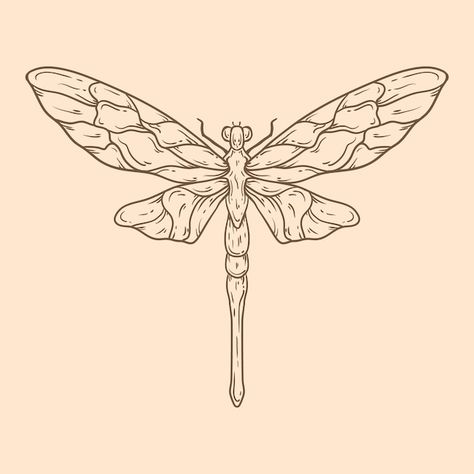 | Free Vector #Freepik #freevector #simple-illustration #line-art #minimal-illustration #hand-drawn-illustration Dragonfly Outline, Dragonfly Illustration, Dragonfly Artwork, Dragonfly Drawing, Engraving Tattoo, Dragonfly Tattoo Design, Beautiful Dragonfly, Wings Drawing, Flash Tattoo Designs