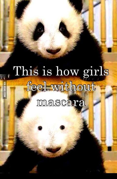 This is how girls feel without mascara LOL Panda Bears, Memes Humor, Have A Laugh, Grumpy Cat, Caricatures, Panda Bear, Bones Funny, Funny Cute, Make You Smile