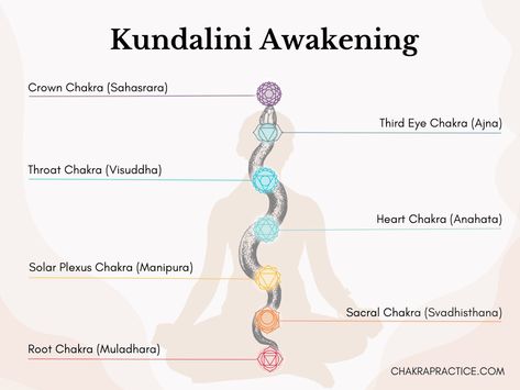 In this article, we’ll learn about the Kundalini energy, the benefits of the Kundalini activation process for your chakras, and effective ways to awaken this innate life force so you can start unlocking your chakras in the most harmonious way possible. #selflovetips #selflove #selfcare #selfhealingjourney #selfheal #healingwork #healingenergy #chakraworkshop #chakracrystals #sevenchakras #chakrabalancing #chakrahealing #chakra #chakrabalance #chakraalignment #meditation #chakrahealing #chakra What Is Kundalini, Kundalini Snake, Kundalini Activation, Muladhara Chakra, Kundalini Meditation, Kundalini Energy, Anahata Chakra, Kundalini Awakening, Chakra Alignment