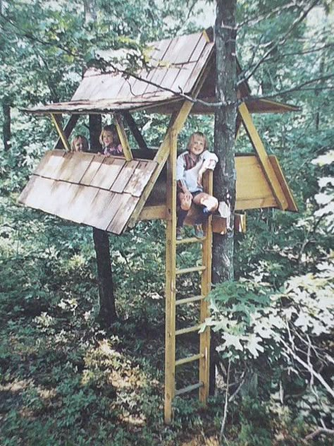 Look at how there does not appear to be any knee braces. This appears to be resting on the two longitudinal 2x6s. The ladder may also provide support. Kids Tree House, Kids Clubhouse, Kids Tree, Dawn Treader, Tree Deck, Tree Fort, Tree House Diy, Tree House Kids, Cool Tree Houses