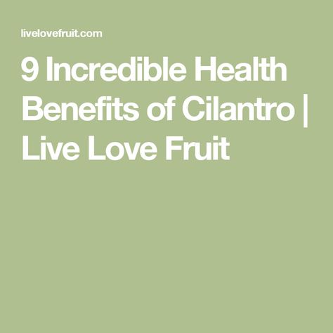 9 Incredible Health Benefits of Cilantro | Live Love Fruit Cilantro Tea, Bone Broth Health Benefits, Bone Broth Gelatin, Benefits Of Cilantro, Detox Colon Cleanse, Detox Herbs, Cilantro Plant, Bone Broth Soup, Food Chemistry