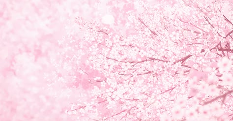 Gif Pink Wallpaper, Pink Gif Aesthetic, Header Gif Aesthetic, Pink Gif Wallpaper, Pink Gif Wallpaper Pc, Cute Core Background, High Quality Header, Cute Pink Header, Cute Pink Gif Banner