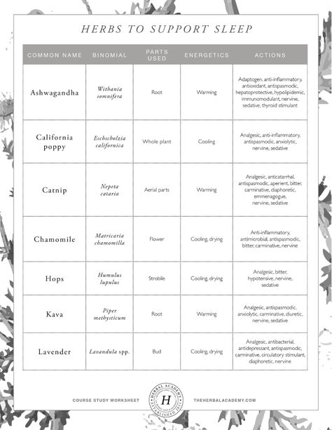 Herbal Monograph Template, Herbal Monographs, Herbalist Garden, Apothecary Garden, Herbal Doctor, Herbal Academy, Alternative Therapy, Work Vision Board, Herbal Education