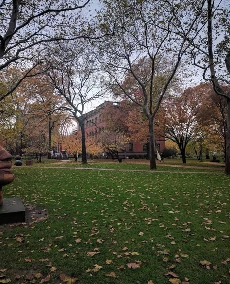 pratt institute Pratt Institute Aesthetic, Institute Aesthetic, Romanticizing College, College Goals, College Vision Board, Pratt Institute, Green Fig, Lust For Life, Fig Tree