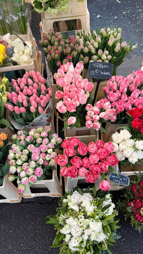 peonies flowers tulips pink aesthetic paris spring life Fresh Tulips, Plants Aesthetic, Tout Rose, Flower Stock, Boquette Flowers, Aesthetic Lifestyle, Nothing But Flowers, Flower Therapy, Beautiful Bouquet Of Flowers