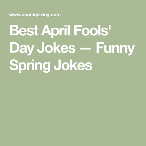 Best April Fools' Day Jokes — Funny Spring Jokes Spring Jokes, Pizza Jokes, Easter Jokes, April Fools Day Jokes, Best April Fools, April Fools Joke, Happy Easter Wishes, Fools Day, Flower Company