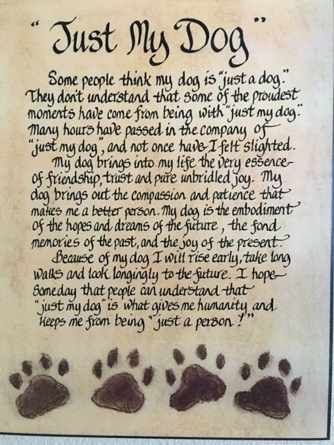 Waiting At The Door Dog Poem, Poems For Dogs Who Have Passed, Dog Heaven Quotes, Pet Poems, Miss My Dog, Pet Quotes, Dog Poems, Dog Lover Quotes, Dog Quotes Love