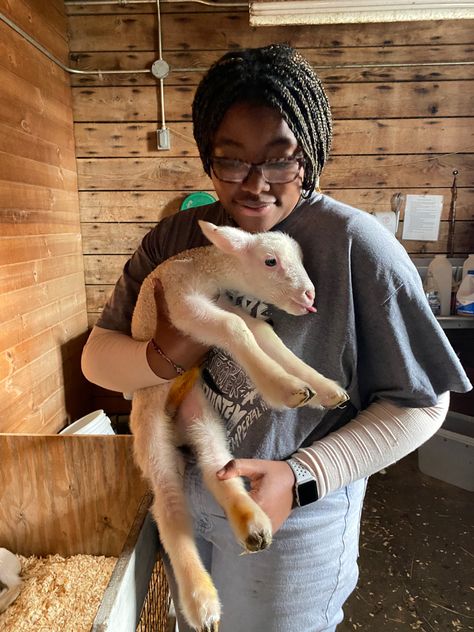 brown skinned girl holding a baby lamb Animal Science Major Aesthetic, Animal Science Major, Vet Student, College Aesthetic, Animal Science, Animals