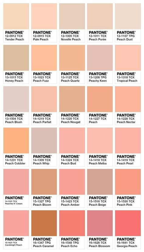 Pantone Peach Shades, Color Palette Printable, Peach Pantone Color, Peach Tones Colour Palettes, Shades Of Peach Colour Palettes, Colors That Go With Peach, Peach Palette Color, Peach Color Wallpaper, Peach Color Wall