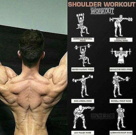 Baki Hanma Training, Baki Body, Free Weight Workout, Bodybuilding Workouts Routines, Baki Hanma, Gym Workouts For Men, Gym Tips, Martial Arts Workout, Workout Chart