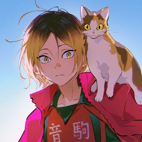 Kenma haikyuu fanart icon cr/jiuniaoshan Kenma Haikyuu, Haikyuu Nekoma, Miss Fortune, Snk Cosplay, Kenma Kozume, Haikyuu Characters, Haikyuu Fanart, Sports Anime, Fanarts Anime