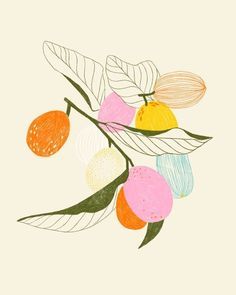 Marisol Ortega Illustration, Fruit Illustration Art, Marisol Ortega, Pretty Fruit, Behance Illustration, Fruit Artwork, Flowers Drawing, Fruit Flowers, Fruit Illustration