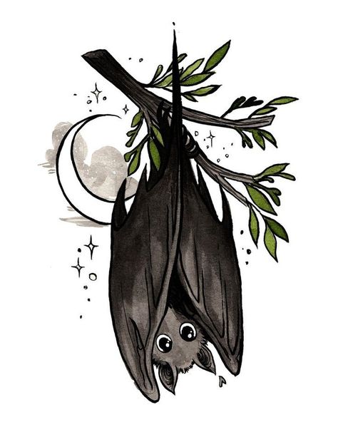 Cute Bat Drawing, Jacquelin Deleon, Bat Drawing, Witchy Tattoos, Bat Tattoo, Bat Art, Cute Bat, Halloween Drawings, Witch Art