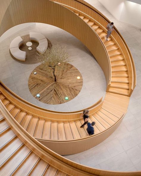 ARCHITECTURE HUNTER on Instagram: “#architecture_hunter  Designed by @3xnarchitects, The ‘Unity Staircase’ of Olympic House is modeled on the five Olympic Rings. The…” Ring Architecture, Small Office Design Interior, Circular Stairs, Wabi Sabi Interior, Olympic Rings, Stairs Architecture, Archi Design, Lobby Interior, Wooden Stairs