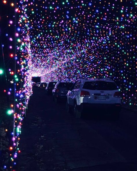 A list of drive and walk-through holiday light displays. Christmas Light Drive Thru, Holiday Contest, Land Ideas, Holiday Lights Display, Christmas Light Show, Stadium Lighting, Gillette Stadium, Cosy Christmas, How To Drive