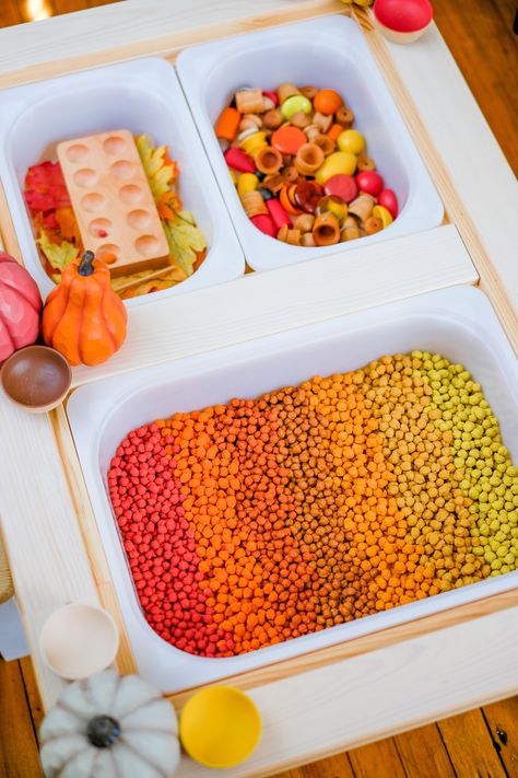 80+ Sensory Bin Play Ideas for the Ikea Flisat Table! - The Scott Cottage Flisat Table Activities Fall, Fall Flisat Table, Autumn Messy Play, Ikea Sensory Table Ideas, Ikea Flisat Table Ideas, Sensory Box Ideas, Flisat Table Activities, Ikea Sensory Table, Sensory Bin Table