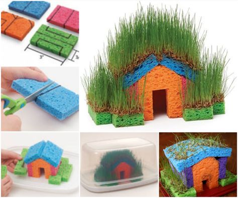 How to DIY Fun Sponge Grass House | www.FabArtDIY.com             #tutorial #gardening #grass house  #craft  #kitchen sponge     Follow us on Facebook ==> https://www.facebook.com/FabArtDIY Nature Crafts Kids, Deco Nature, Outdoor Crafts, Grass Seed, Nature Crafts, Gardening For Kids, Fairy House, Science For Kids, Spring Crafts