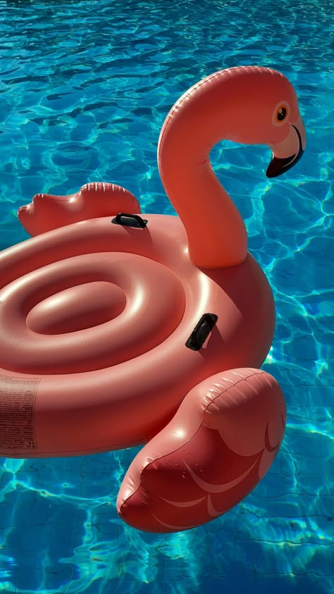 Pink Flamingo In The Pool, Pink Flamingo Pool Float, Flamingo Floatie Aesthetic, Floaties Aesthetic, Floaties For The Pool, Flamingo Floaties, Pink Flamingo Float, Flamingo Inflatable, Pink Flamingo Pool