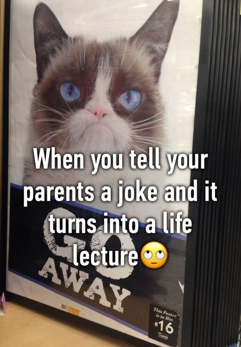 "When you tell your parents a joke and it turns into a life lecture " Weird Whispers, Funny Memes About Life, True Things, Mom Memes, Teen Posts, Relatable Stuff, Cat Quotes, Life Memes, Grumpy Cat