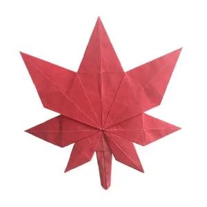 Origami Maple Leaf, Origami Guide, Happy Birthday Canada, Wall Hanging Paper Craft, Hanging Paper Craft, Canada Birthday, Craft For Home Decoration, Origami Leaves, Origami Frog