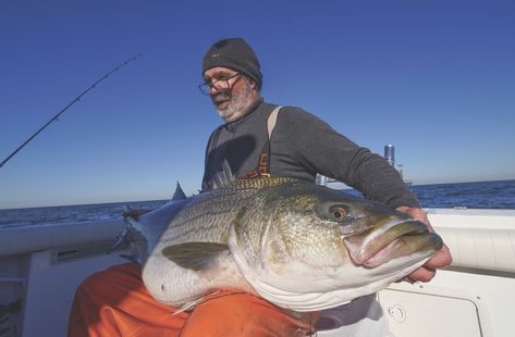 Striper Fishing, Striped Bass Fishing, Hunting Lifestyle, Orvis Fly Fishing, Journal Magazine, Fly Fishing Tips, Saltwater Flies, Fly Fishing Gear, Striped Bass