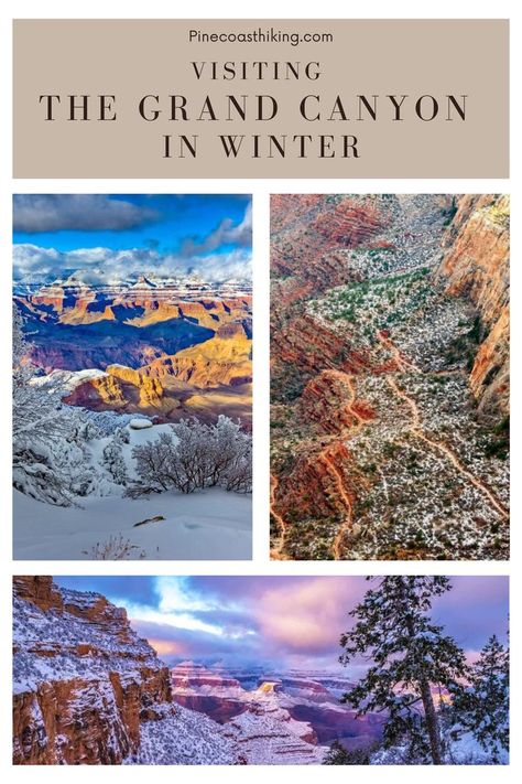 Snow covered canyon walls under a blue/pink/orange sunset. Sun shining on a snow covered orange canyon. Hiking trail zig zagging into a red/orange canyon with green shrub vegetation and a light dusting of snow. Grand Canyon during winter, grand canyon in winter, things to do at the grand canyon in winter, grand canyon national park in winter, grand canyon south rim in winter, grand canyon winter activities, is the grand canyon open in winter, grand canyon in the snow, grand canyon in snow. Grand Canyon In November, Grand Canyon At Christmas, Hiking Grand Canyon, Grand Canyon Snow, Grand Canyon Rim To Rim Hike, Visiting The Grand Canyon, Grand Canyon, Hiking, Travel