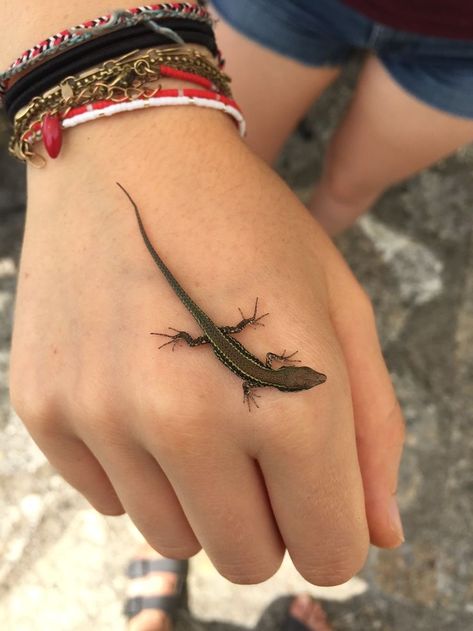 Herpetology Aesthetic, Reptile Tattoo, Gecko Tattoo, Lizard Tattoo, Pretty Animals, Granola Girl, Animals Friends, Reptiles, Make Me Smile