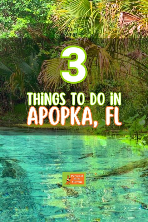 Looking for things to do in Apopka, FL? Here are 3 fun things to do this summer! Apopka Florida Things To Do, Apopka Florida, Florida Attractions, Florida Panhandle, Storage Tips, Mini Storage, Dream Travel Destinations, Beach Getaways, Florida Usa