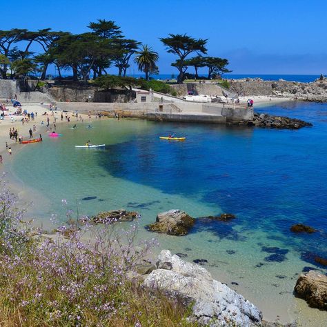 Lovers Point Monterey, Photos Of Lovers, Pacific Grove California, Pacific Grove, Honeymoon Travel, Monterey, California Travel, Adventure Time, Trip Planning