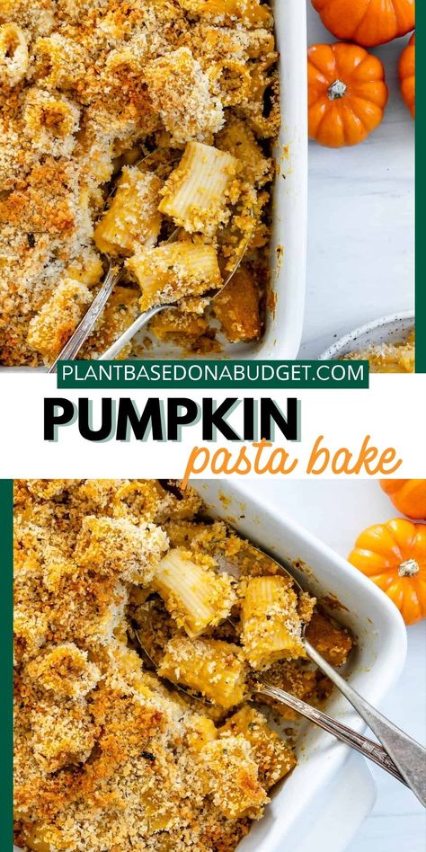 This Pumpkin Pasta Bake is a belly-filling dish made of tender pasta tossed into a pumpkin-infused herb sauce. It is topped with a vegan buttery crumb and baked to golden perfection. This lightened-up vegan pasta recipe is great to enjoy all year round but is especially good during the fall season. | Plant-based on a Budget | #plantbasedonabudget #pastabake #fallrecipe #pumpkinpasta Vegan Pumpkin Pasta Recipes, Baked Pumpkin Pasta, Vegan Dump And Bake, Thanksgiving Pasta, Vegan Pumpkin Pasta, Pumpkin Noodles, Pumpkin Pasta Bake, Vegan Pasta Recipe, Pumpkin Pasta Recipe