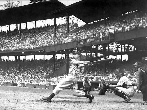 Joe DiMaggio and the Yankees go to the world series five times in the 1940's. Out of these five, they won four. Roger Maris, Tiger Stadium, 16x20 Poster, Joe Dimaggio, Tigers Baseball, Baseball Photos, Baseball Stadium, Yankees Baseball, Today In History