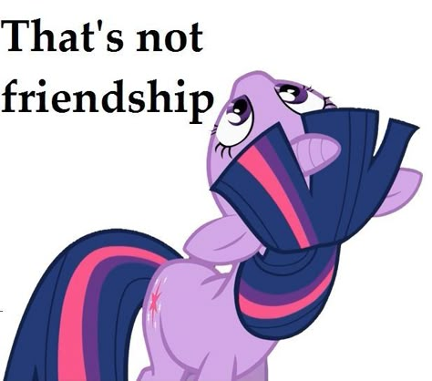 You have no idea, Twilight Mlp Funny, Mlp Twilight, Mlp Memes, My Lil Pony, My Little Pony Comic, A Pony, My Little Pony Drawing, My Little Pony Characters, Mlp Pony