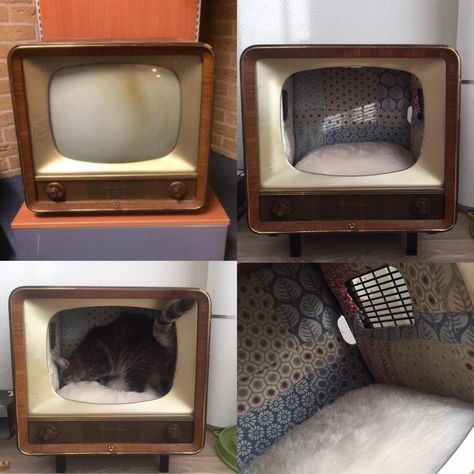 Diy Tv Cat Bed, Old Tv Cat House, Old Tv Cat Bed, Tv Cat Bed, Cat Nook, Cat Diy Projects, Cat House Design, Pet Rooms, Cat Rooms