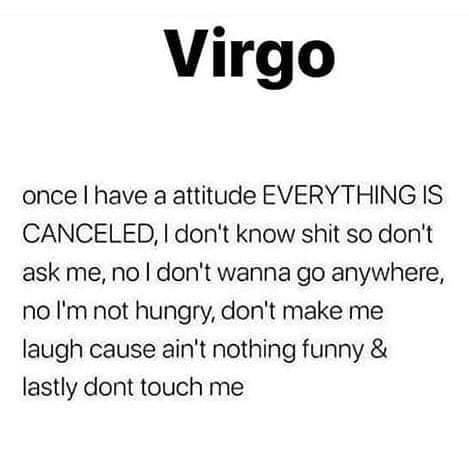 Virgo Memes Funny Truths, Virgo Relatable, Funny Virgo Quotes Hilarious, Virgo 2024, Virgo Earth Sign, Funny Virgo Quotes, Funny Virgo, Virgo Emotions, Virgo Stuff